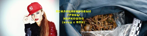 сатива Зеленодольск