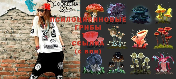 mdma Зерноград