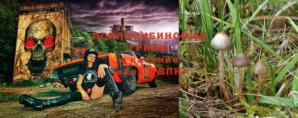сатива Зеленодольск