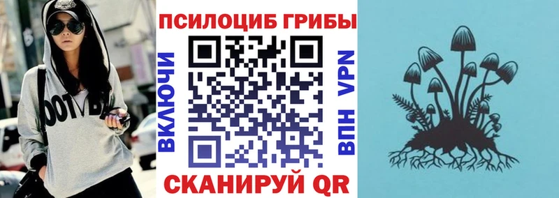 Галлюциногенные грибы MAGIC MUSHROOMS  Купить  Дорогобуж 